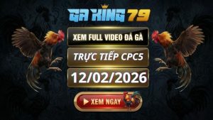Xem Full Clip Da Ga Truc Tiep CPC5 Ngay 12022026 2