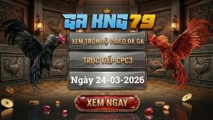 Xem Full Clip Đá Gà Trực Tiếp CPC3 Ngày 24/03/2026