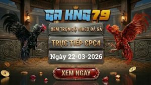 Xem Full Clip Đá Gà Trực Tiếp CPC4 Ngày 22/03/2026