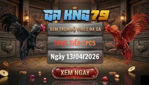 Video đá gà CPC5 ngày 13_04_2026