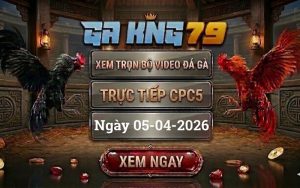 Xem Full Clip Đá Gà Trực Tiếp CPC5 Ngày 05/04/2026