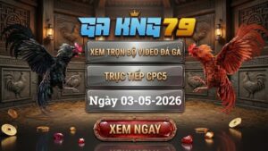 Xem Full Clip Đá Gà Trực Tiếp CPC5 Ngày 03/05/2026