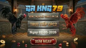 Xem Full Clip Đá Gà Bồ CPC2 Ngày 02/05/2026