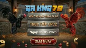 Xem Full Clip Đá Gà Bồ CPC2 Ngày 06/05/2026