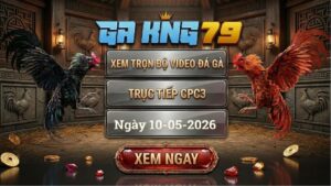 Xem Full Clip Đá Gà Bồ CPC3 Ngày 10/05/2026