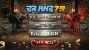 Xem Full Clip Đá Gà Bồ CPC3 Ngày 16/05/2026