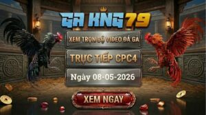 Xem Full Clip Đá Gà Bồ CPC4 Ngày 08/05/2026