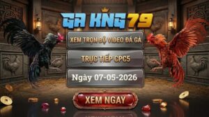 Xem Full Clip Đá Gà Bồ CPC5 Ngày 07/05/2026