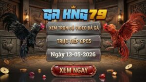 Xem Full Clip Đá Gà Bồ CPC5 Ngày 13/05/2026